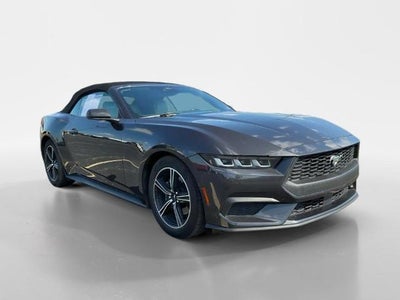 Photo of a 2024 Ford Mustang Ecoboost Premium 2DR Convertible for sale