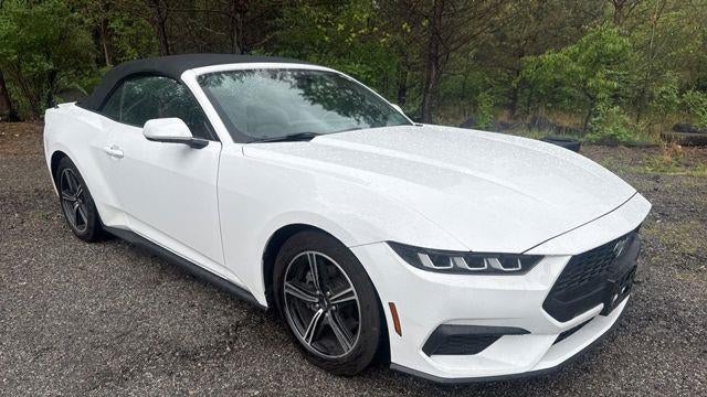 Preowned 2024 Ford Mustang EcoBoost Premium for Sale