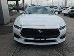 2024 Mustang Thumbnail 6