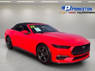 Photo of a 2025 Ford Mustang Ecoboost 2DR Convertible for sale