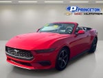 2025 Mustang Thumbnail 3