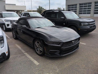 Photo of a 2026 Ford Mustang Ecoboost Premium 2DR Convertible for sale