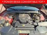 2004 Thunderbird Thumbnail 25