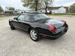 2002 Thunderbird Thumbnail 5