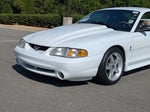 1995 Mustang SVT Cobra Thumbnail 10