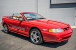 1994 Mustang SVT Cobra Thumbnail 12