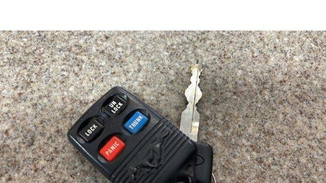 1995 Ford Mustang SVT Cobra Base