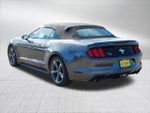 2015 Mustang Thumbnail 5