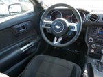 2015 Mustang Thumbnail 9