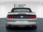 2015 Mustang Thumbnail 4
