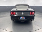 2015 Mustang Thumbnail 6