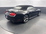 2015 Mustang Thumbnail 8