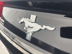2015 Mustang Thumbnail 38
