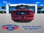 2017 Mustang Thumbnail 5