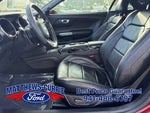 2017 Mustang Thumbnail 9