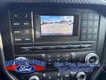 2017 Mustang Thumbnail 17