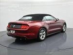2017 Mustang Thumbnail 6