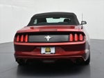 2017 Mustang Thumbnail 7