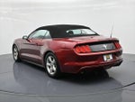 2017 Mustang Thumbnail 8
