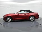 2017 Mustang Thumbnail 9