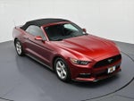 2017 Mustang Thumbnail 14