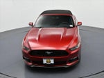 2017 Mustang Thumbnail 15