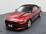 2017 Mustang Thumbnail 16