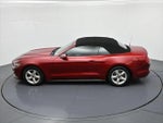 2017 Mustang Thumbnail 17