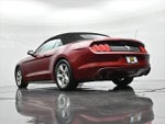 2017 Mustang Thumbnail 18