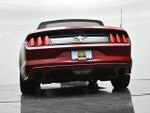 2017 Mustang Thumbnail 19