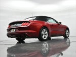 2017 Mustang Thumbnail 20