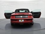 2017 Mustang Thumbnail 25