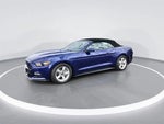 2016 Mustang Thumbnail 4