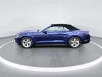 2016 Mustang Thumbnail 5
