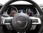 2017 Mustang Thumbnail 8