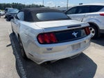 2017 Mustang Thumbnail 4