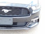 2016 Mustang Thumbnail 9