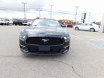 2016 Mustang Thumbnail 8