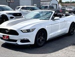 2015 Mustang Thumbnail 2