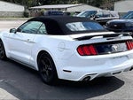 2015 Mustang Thumbnail 3