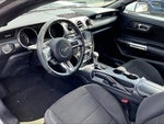 2015 Mustang Thumbnail 9