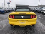 2016 Mustang Thumbnail 6