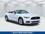 2016 Mustang Thumbnail 2