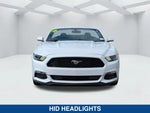 2016 Mustang Thumbnail 8