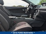 2016 Mustang Thumbnail 13