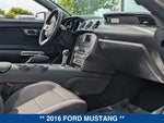 2016 Mustang Thumbnail 14