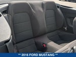 2016 Mustang Thumbnail 15