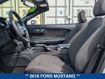 2016 Mustang Thumbnail 16