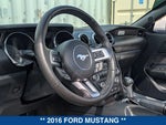 2016 Mustang Thumbnail 17