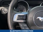 2016 Mustang Thumbnail 20
